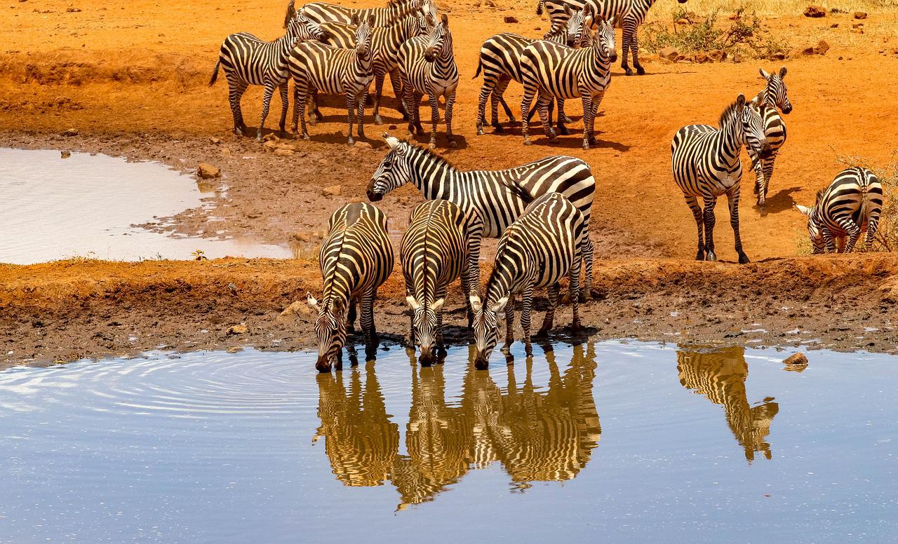 3 Days/ 2 Nights Amboseli National Park Safari