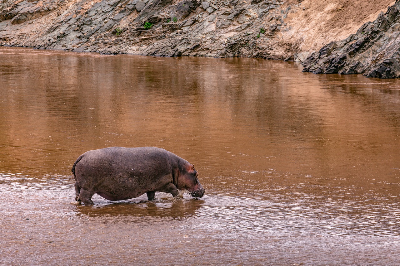 6 Days 5 Nights Samburu Game Reserve – Lake Nakuru & Masai Mara
